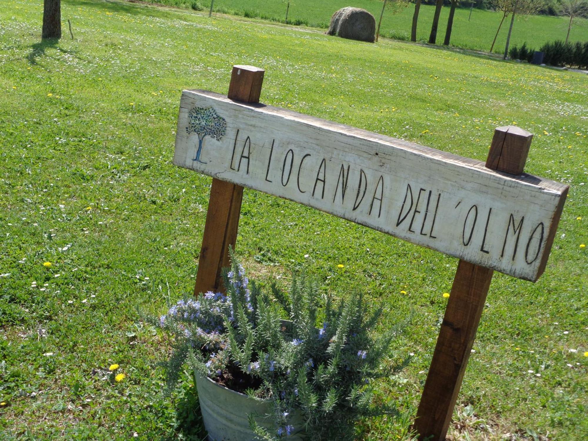 La Locanda Dell'Olmo オルヴィエート エクステリア 写真