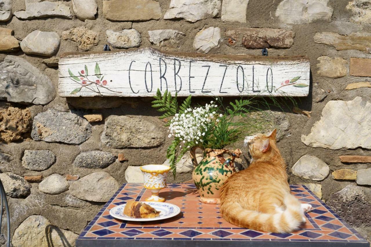 La Locanda Dell'Olmo オルヴィエート エクステリア 写真